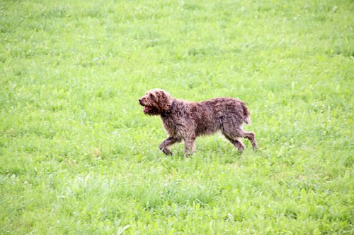 20090627-049.jpg