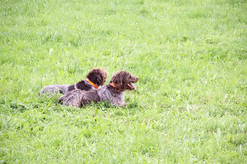20090627-064.jpg