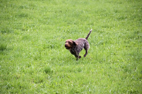 20090627-110.jpg