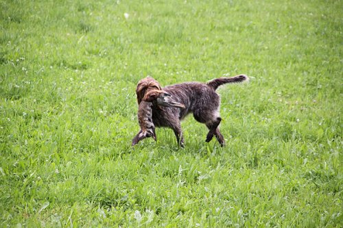 20090627-115.jpg
