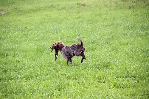 20090627-121.jpg