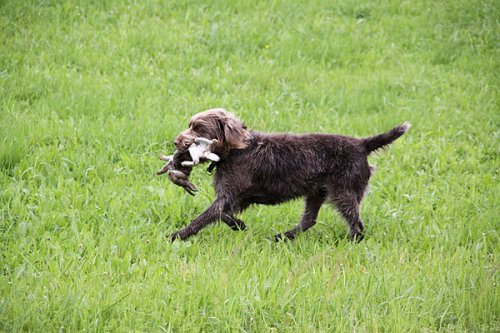 20090627-148.jpg