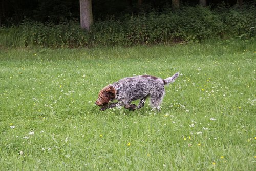 20090627-162.jpg