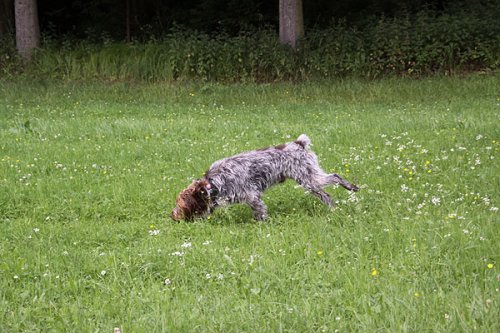 20090627-163.jpg