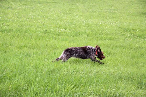 20090627-190.jpg