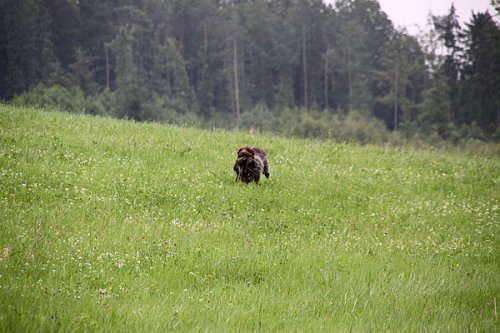 20090627-195.jpg