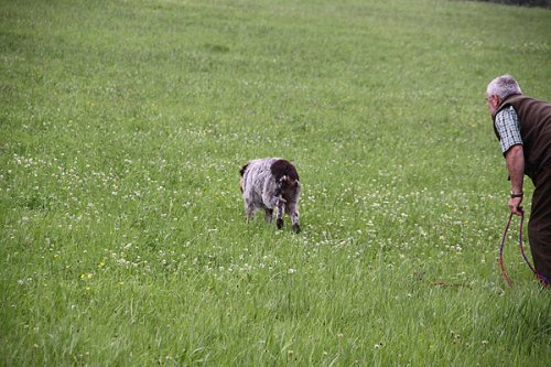 20090627-219.jpg