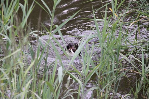 20090627-324.jpg