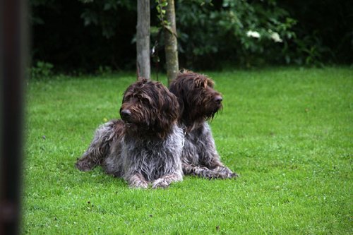 20090627-347.jpg