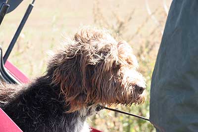 20080913-102.jpg