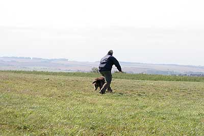 20080913-104.jpg
