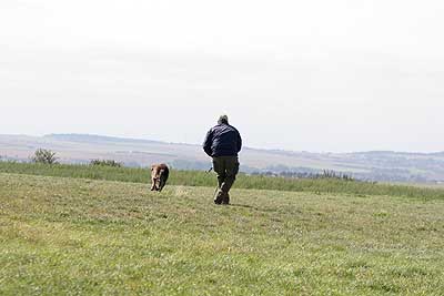 20080913-106.jpg