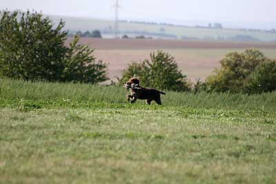 20080913-112.jpg