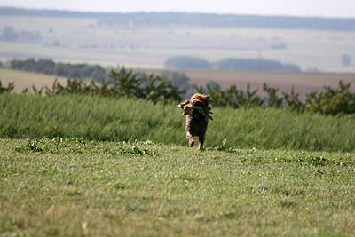 20080913-118.jpg