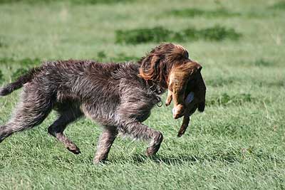 20080913-194.jpg