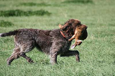 20080913-195.jpg
