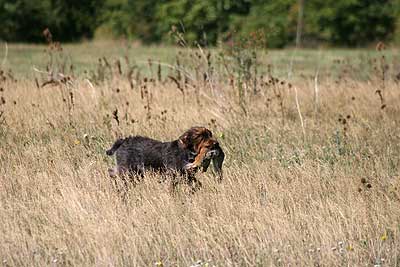 20080913-226.jpg