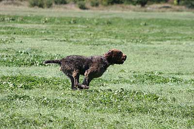 20080913-238.jpg