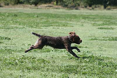 20080913-239.jpg
