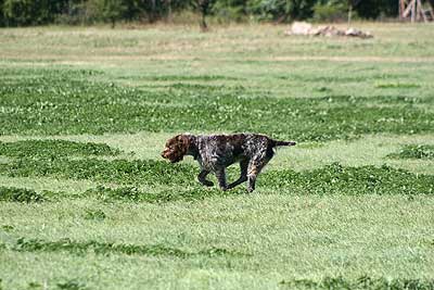 20080913-262.jpg