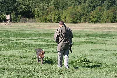20080913-308.jpg
