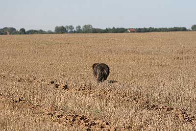 20080913-312.jpg
