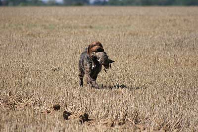 20080913-331.jpg