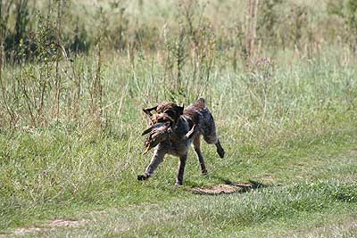 20080913-353.jpg