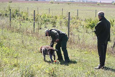 20080913-365.jpg