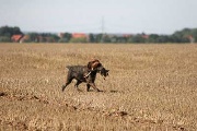 20080913-325.jpg