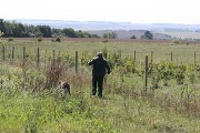 20080913-370.jpg