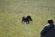 20080913-396.jpg