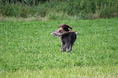 20080927-172.jpg