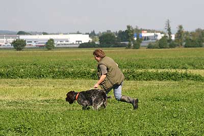 20080927-188.jpg