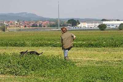 20080927-191.jpg