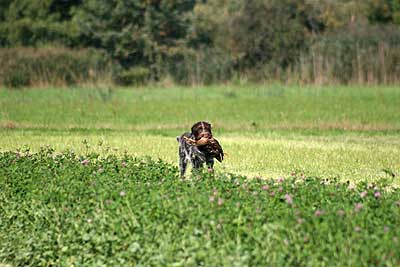 20080927-194.jpg