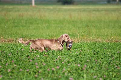 20080927-226.jpg