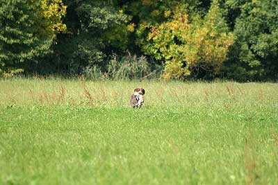 20080927-241.jpg