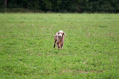 20080927-282.jpg
