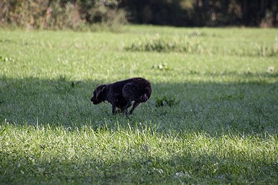 2008_09_26_0086.jpg