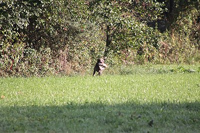 2008_09_26_0096.jpg