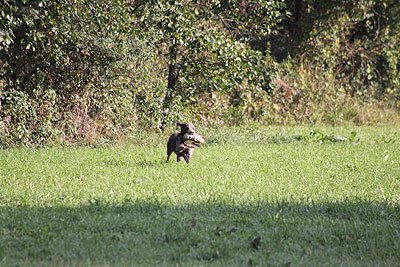 2008_09_26_0098.jpg