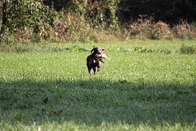 2008_09_26_0103.jpg
