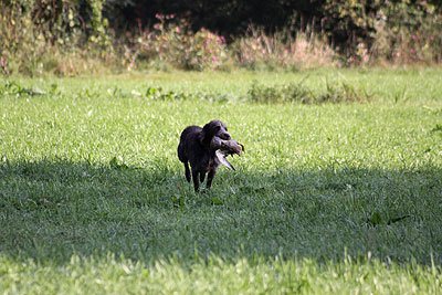 2008_09_26_0106.jpg