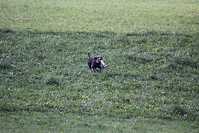 2008_09_26_0115.jpg