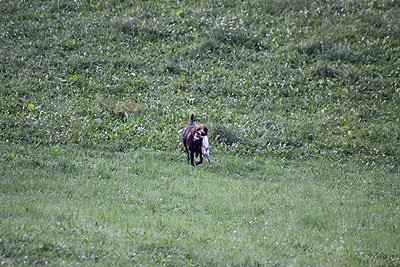 2008_09_26_0119.jpg
