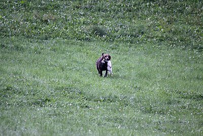 2008_09_26_0120.jpg