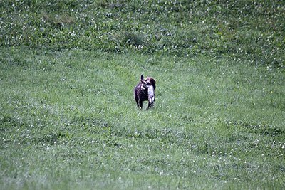 2008_09_26_0122.jpg