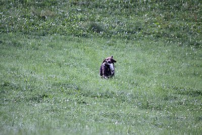 2008_09_26_0123.jpg