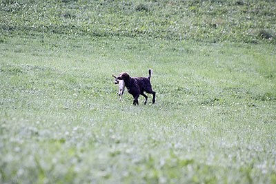2008_09_26_0124.jpg